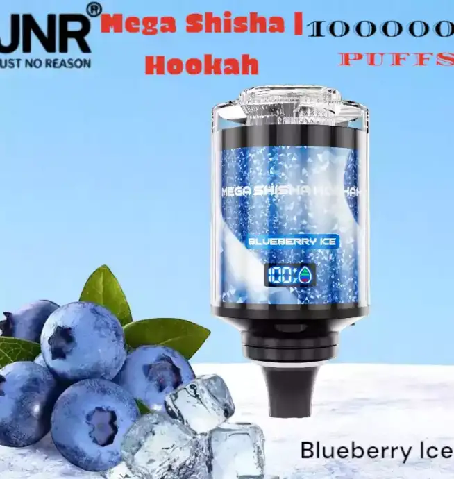 JNR Mega Shisha Hookah 100000 Puffs L'expérience ultime du vape