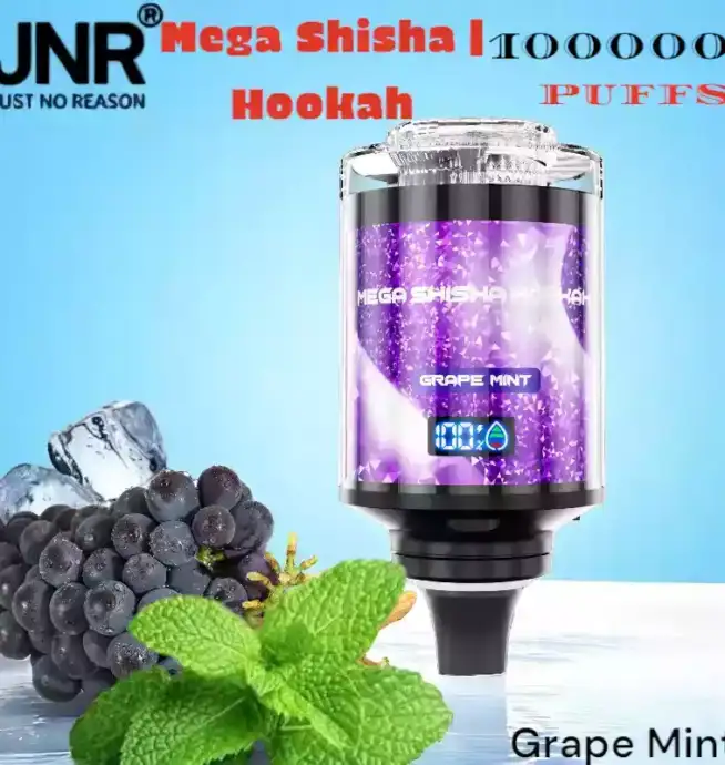 JNR Mega Shisha Hookah 100000 Puffs L'expérience ultime du vape