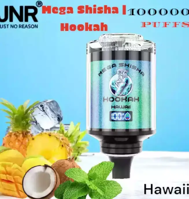 JNR Mega Shisha Hookah 100000 Puffs L'expérience ultime du vape