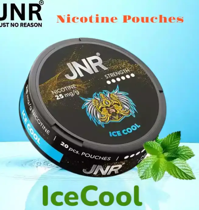 JNR Nicotine Pouches Alternative Premium Sans Tabac pour Vapoteurs – Image 10