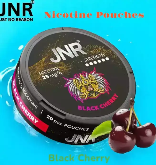 JNR Nicotine Pouches Alternative Premium Sans Tabac pour Vapoteurs