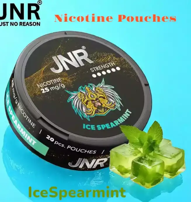 JNR Nicotine Pouches Alternative Premium Sans Tabac pour Vapoteurs