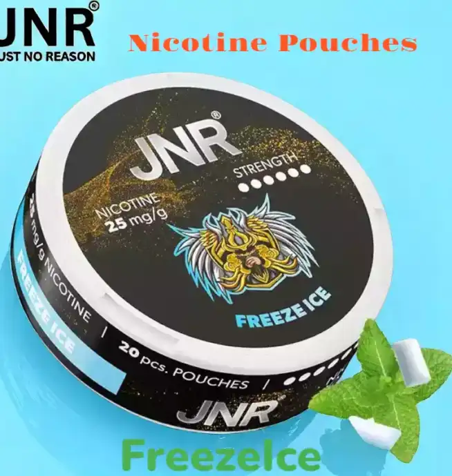 JNR Nicotine Pouches Alternative Premium Sans Tabac pour Vapoteurs
