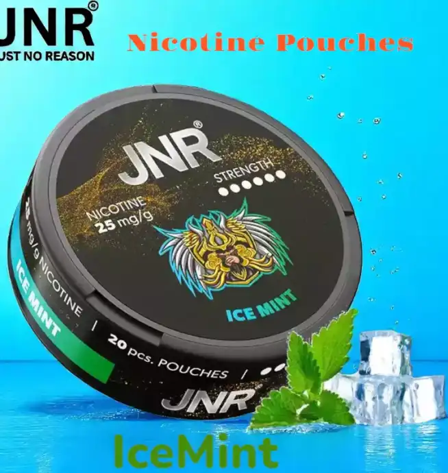 JNR Nicotine Pouches Alternative Premium Sans Tabac pour Vapoteurs