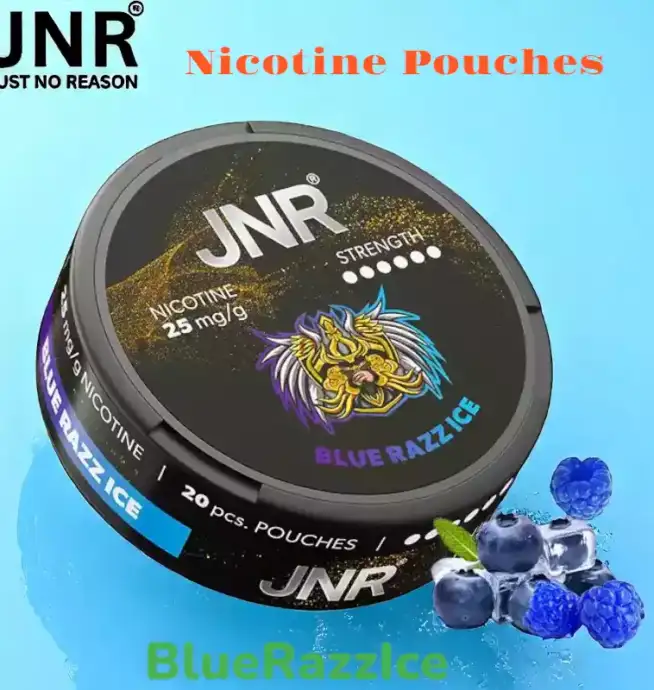JNR Nicotine Pouches Alternative Premium Sans Tabac pour Vapoteurs