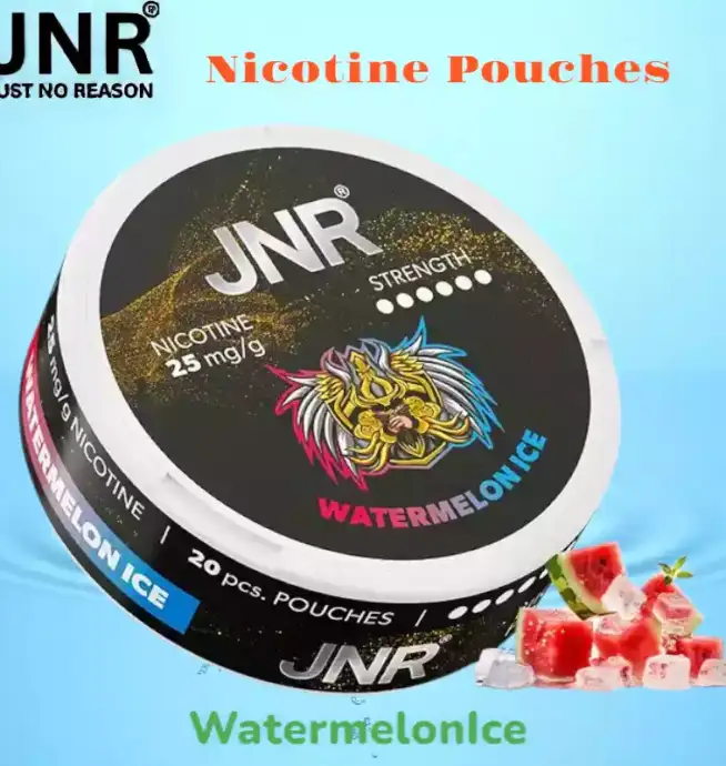 JNR Nicotine Pouches Alternative Premium Sans Tabac pour Vapoteurs