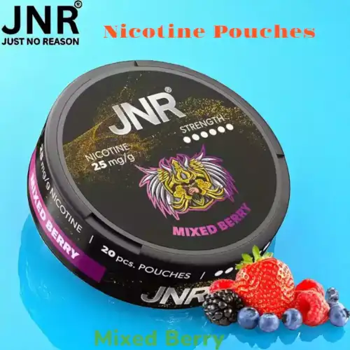 JNR Nicotine Pouches Alternative Premium Sans Tabac pour Vapoteurs