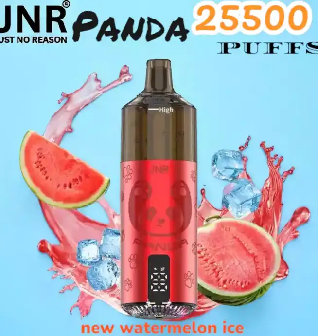 JNR Panda 25500 PUFFS Vape Rechargeable Haut de Gamme
