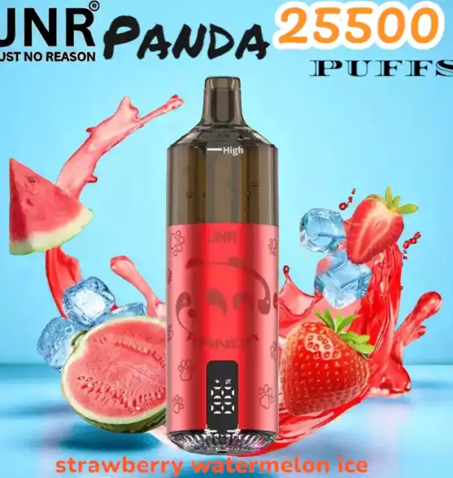 JNR Panda 25500 PUFFS Vape Rechargeable Haut de Gamme