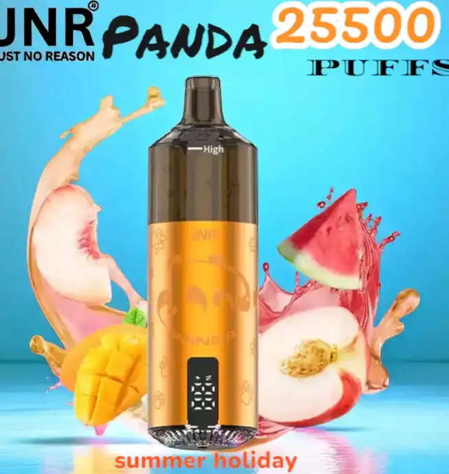 JNR Panda 25500 PUFFS Vape Rechargeable Haut de Gamme