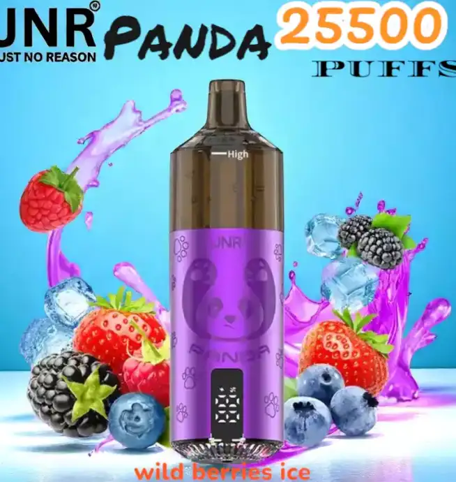 JNR Panda 25500 PUFFS Vape Rechargeable Haut de Gamme