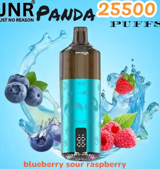 JNR Panda 25500 PUFFS Vape Rechargeable Haut de Gamme