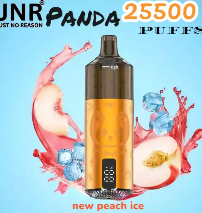 JNR Panda 25500 PUFFS Vape Rechargeable Haut de Gamme