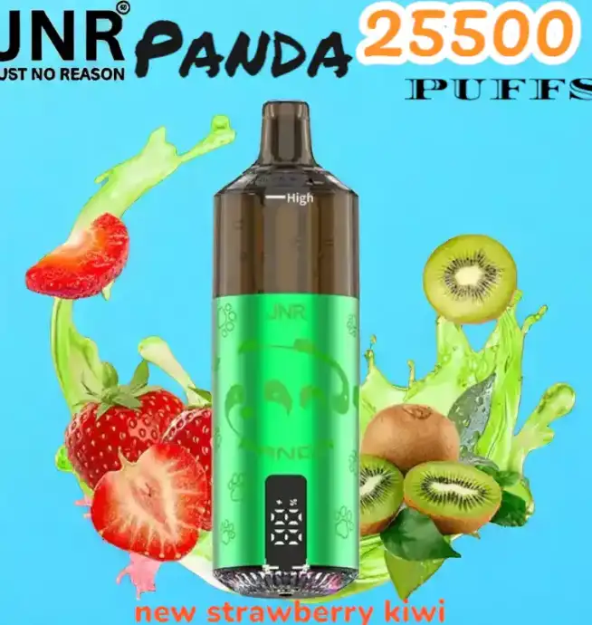 JNR Panda 25500 PUFFS Vape Rechargeable Haut de Gamme