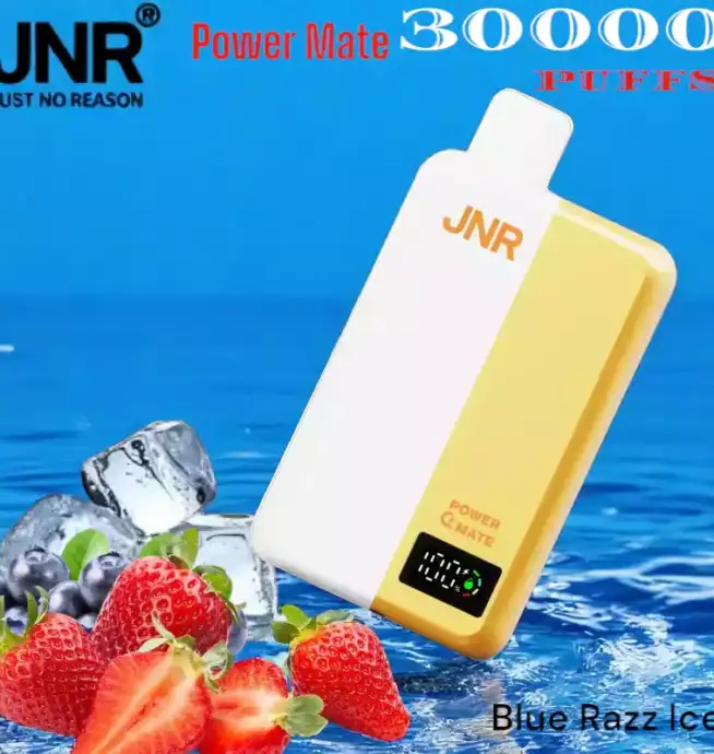 JNR Power Mate 30000 Puffs Vape Longue Durée avec Saveurs Variées
