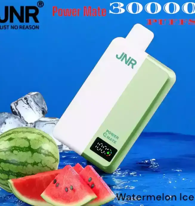 JNR Power Mate 30000 Puffs Vape Longue Durée avec Saveurs Variées