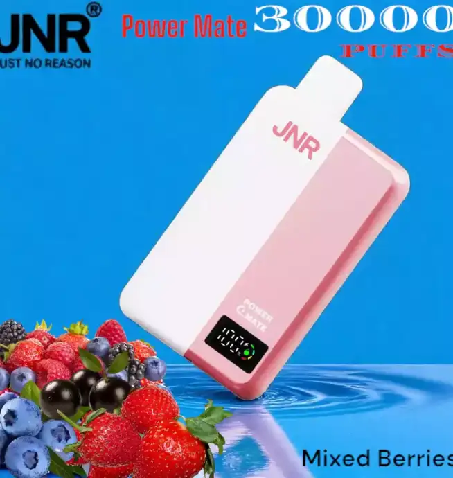 JNR Power Mate 30000 Puffs Vape Longue Durée avec Saveurs Variées