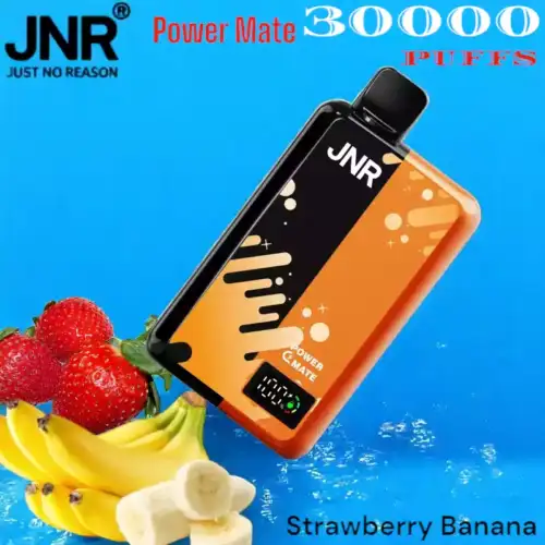 JNR Power Mate 30000 Puffs Vape Longue Durée avec Saveurs Variées
