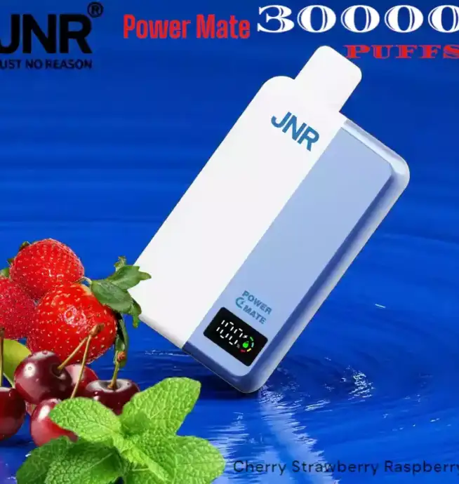 JNR Power Mate 30000 Puffs Vape Longue Durée avec Saveurs Variées