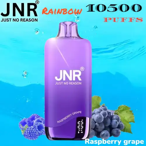 JNR Rainbow 10500 PUFFS Performance Longue Durée et Saveurs Variées