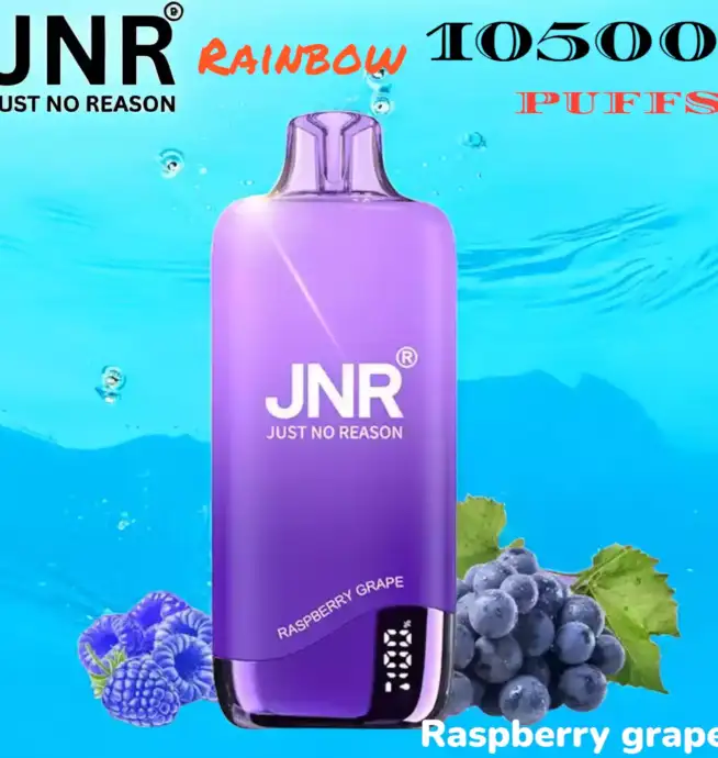 JNR Rainbow 10500 PUFFS Performance Longue Durée et Saveurs Variées