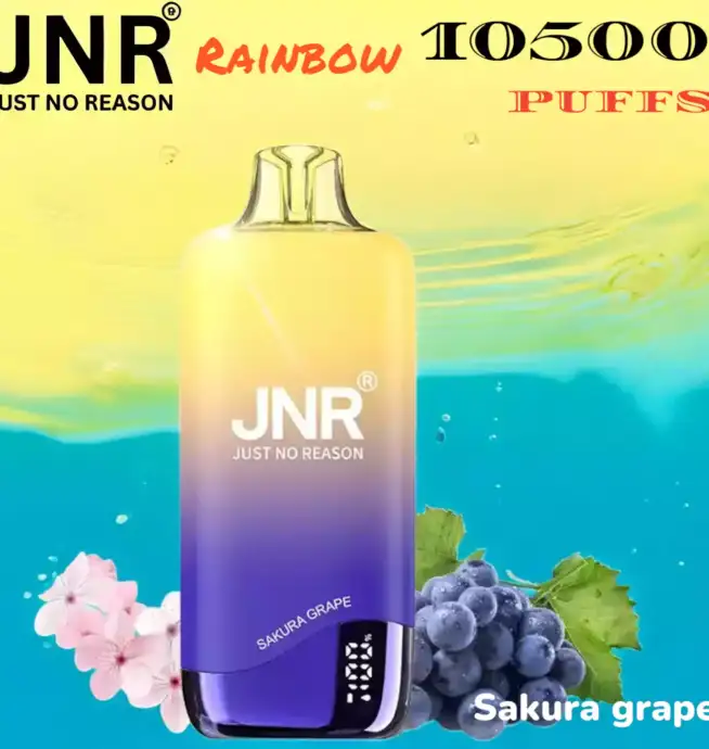 JNR Rainbow 10500 PUFFS Performance Longue Durée et Saveurs Variées