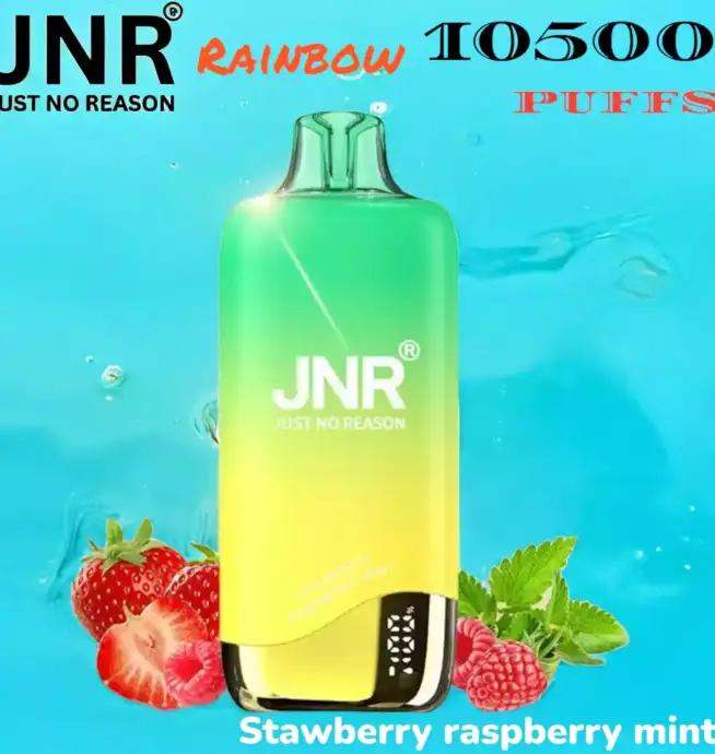 JNR Rainbow 10500 PUFFS Performance Longue Durée et Saveurs Variées