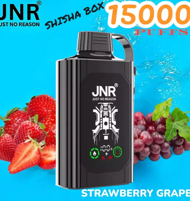 JNR SHISHA BOX 15K PUFFS Vape Jetable Haut de Gamme