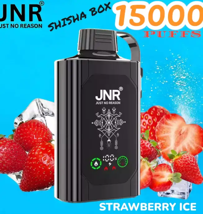 JNR SHISHA BOX 15K PUFFS Vape Jetable Haut de Gamme