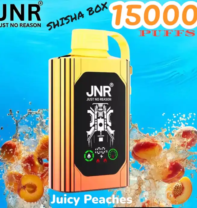 JNR SHISHA BOX 15K PUFFS Vape Jetable Haut de Gamme