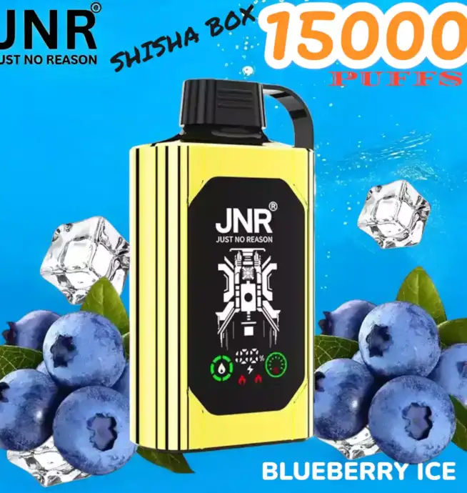 JNR SHISHA BOX 15K PUFFS Vape Jetable Haut de Gamme