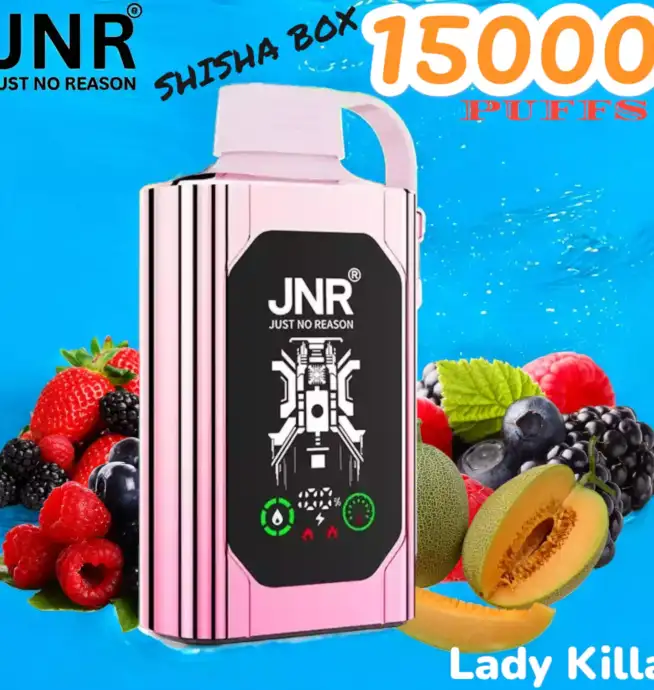JNR SHISHA BOX 15K PUFFS Vape Jetable Haut de Gamme