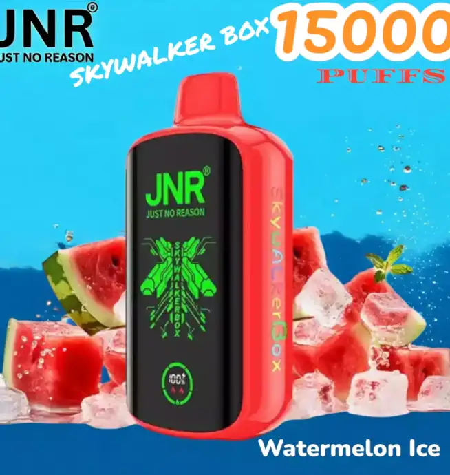 JNR SKYWALKER BOX 15K PUFFS Vape Jetable Haut de Gamme