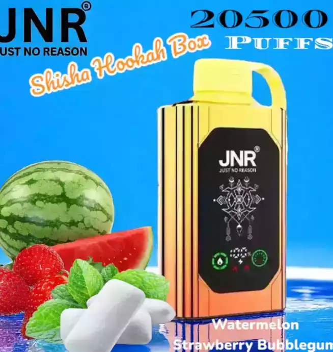JNR Shisha Hookah Box 20500 Puffs Vapotez longtemps avec 15 saveurs