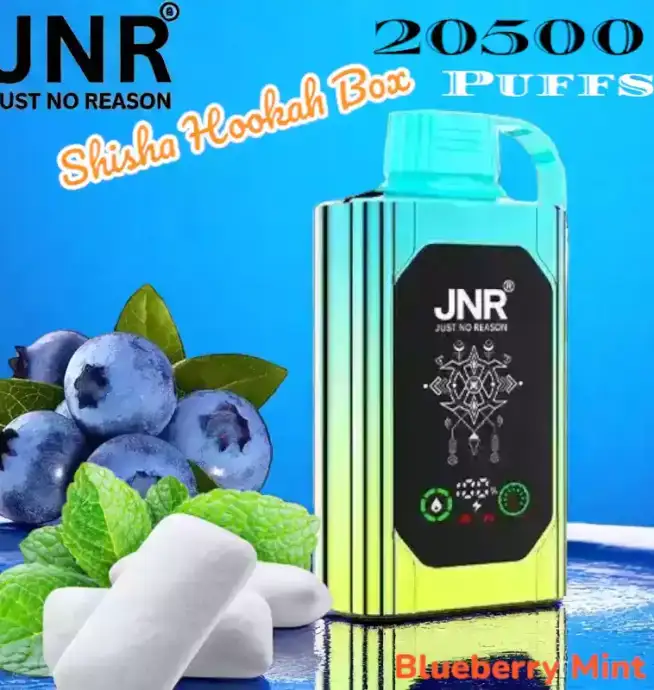 JNR Shisha Hookah Box 20500 Puffs Vapotez longtemps avec 15 saveurs