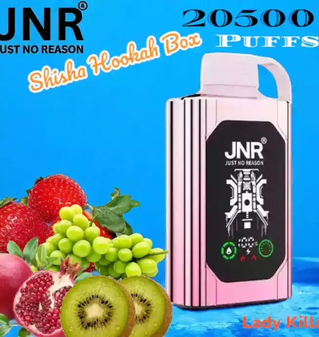 JNR Shisha Hookah Box 20500 Puffs Vapotez longtemps avec 15 saveursJNR Shisha Hookah Box 20500 Puffs Vapotez longtemps avec 15 saveurs