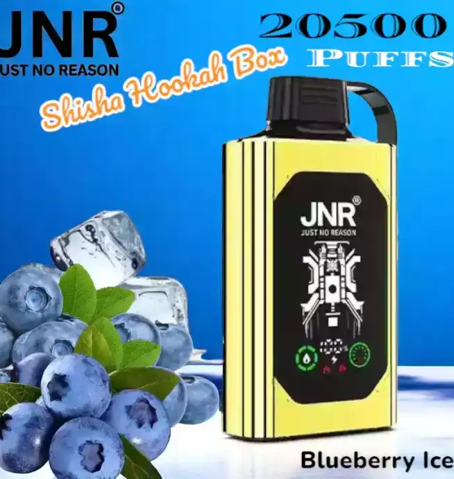 JNR Shisha Hookah Box 20500 Puffs Vapotez longtemps avec 15 saveurs
