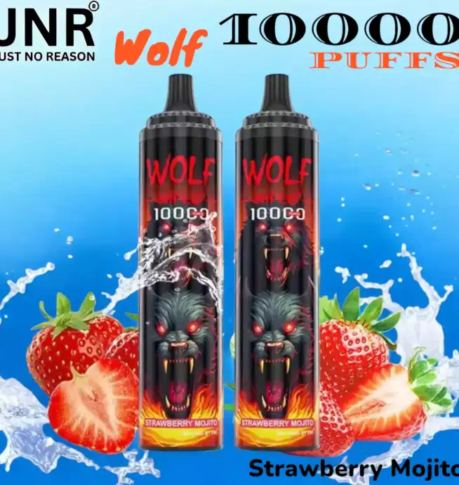 JNR Wolf 10000 PUFFS Vape Jetable avec 10 000 Bouffées et Saveurs Exquises
