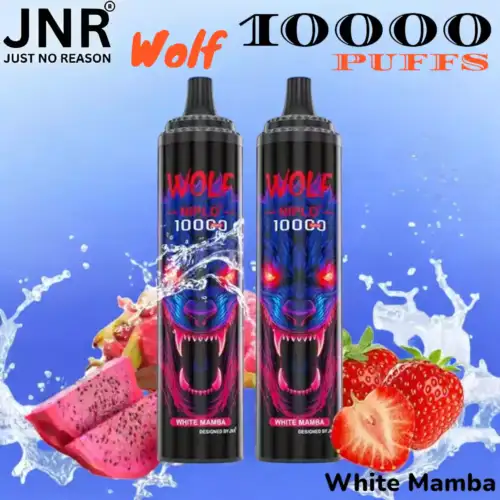 JNR Wolf 10000 PUFFS Vape Jetable avec 10 000 Bouffées et Saveurs Exquises