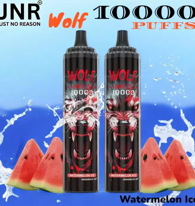 JNR Wolf 10000 PUFFS Vape Jetable avec 10 000 Bouffées et Saveurs Exquises