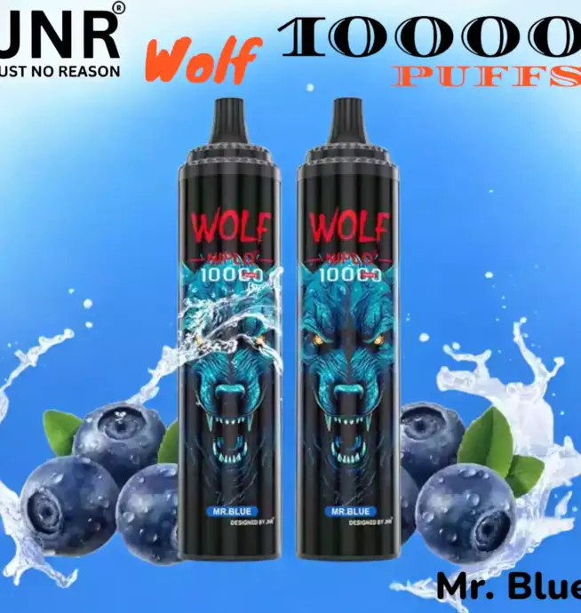 JNR Wolf 10000 PUFFS Vape Jetable avec 10 000 Bouffées et Saveurs Exquises