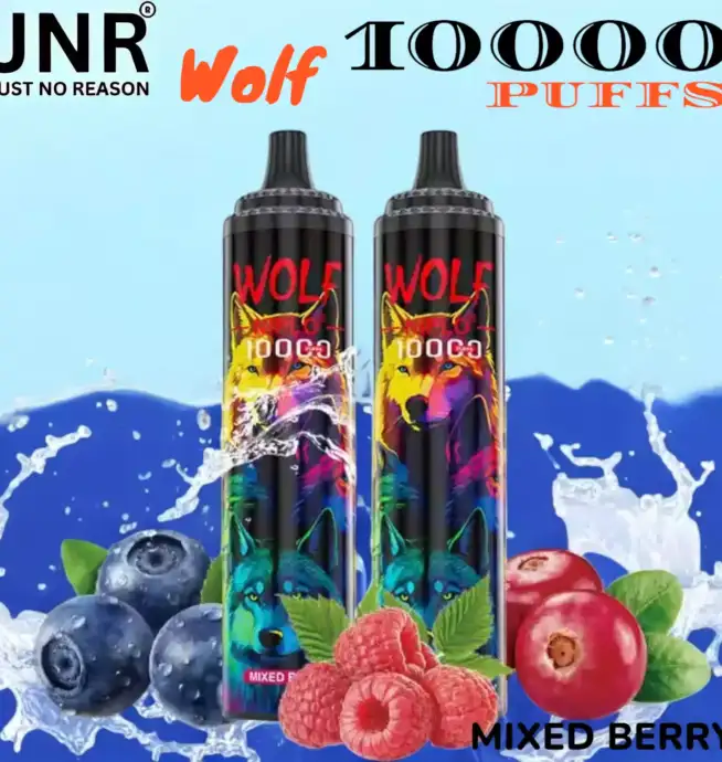 JNR Wolf 10000 PUFFS Vape Jetable avec 10 000 Bouffées et Saveurs Exquises