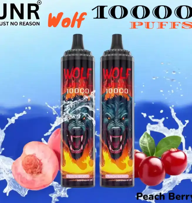 JNR Wolf 10000 PUFFS Vape Jetable avec 10 000 Bouffées et Saveurs Exquises