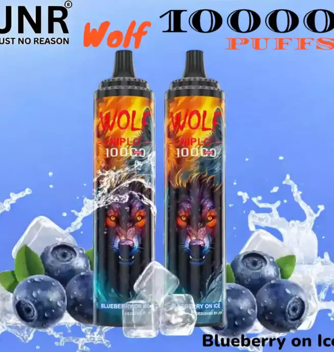 JNR Wolf 10000 PUFFS Vape Jetable avec 10 000 Bouffées et Saveurs Exquises