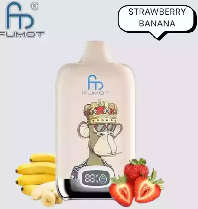 RandM Fumot Digital Box 12000 Puffs Vape avec saveurs variées et grande autonomie