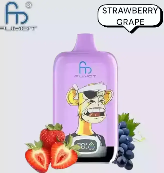 RandM Fumot Digital Box 12000 Puffs Vape avec saveurs variées et grande autonomie