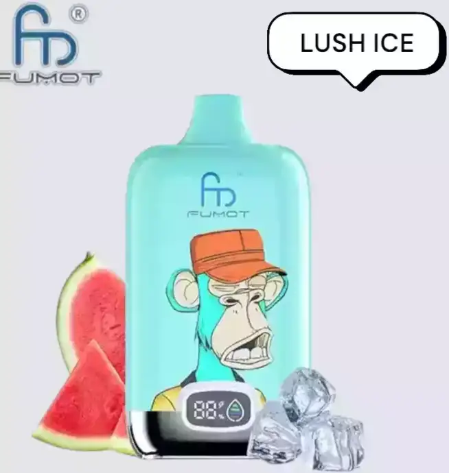 RandM Fumot Digital Box 12000 Puffs Vape avec saveurs variées et grande autonomie