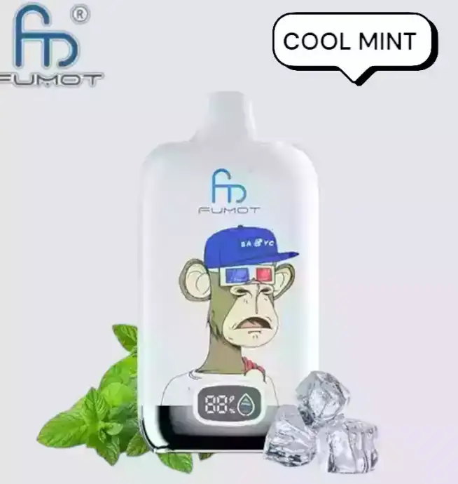 RandM Fumot Digital Box 12000 Puffs Vape avec saveurs variées et grande autonomie