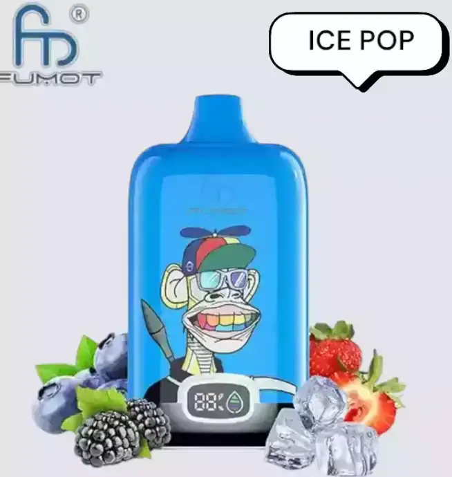 RandM Fumot Digital Box 12000 Puffs Vape avec saveurs variées et grande autonomie