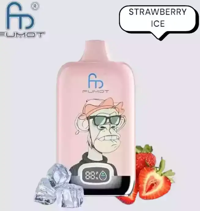 RandM Fumot Digital Box 12000 Puffs Vape avec saveurs variées et grande autonomie